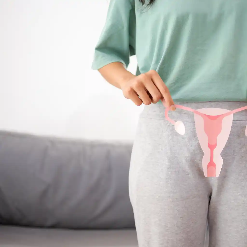 CIRURGIA ÍNTIMA